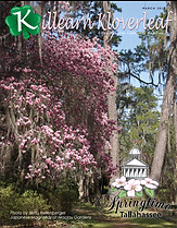 c1eb68 4ca52b97bf5f439b8b35e29de9c7f1b8mv2