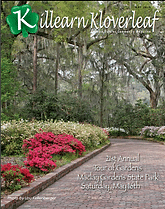 c1eb68 9811df7cfc8f4185a61f83584029416cmv2