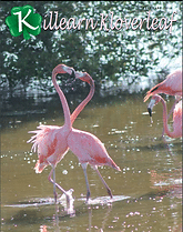 c1eb68 b1cf7865254344359ae727dce2d1511fmv2