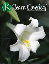 c1eb68 e0400cef1c5f4a85bc3bc2ea6110032cmv2